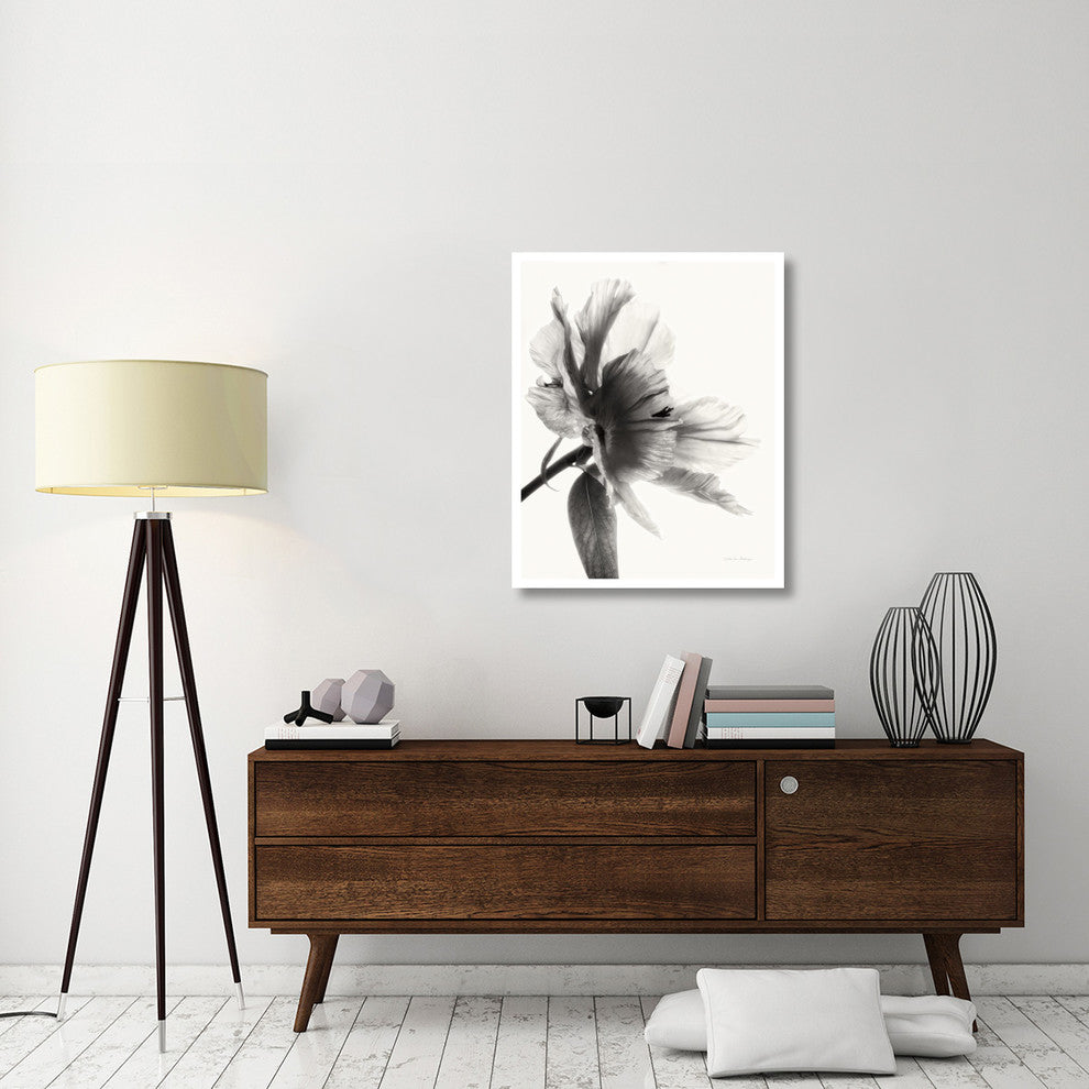 "Translucent Peony II - BW" Digital Paper Print by Debra Van Swearingen, 30"x37"