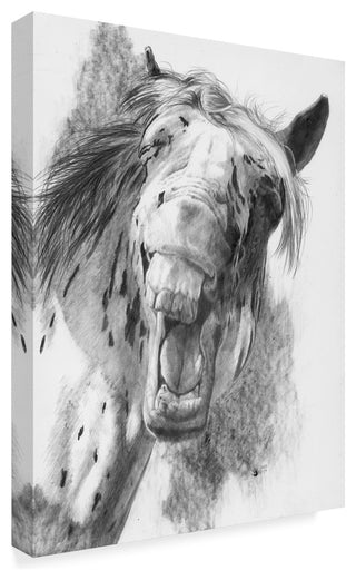 "The Critic" by Barbara Keith, Canvas Art