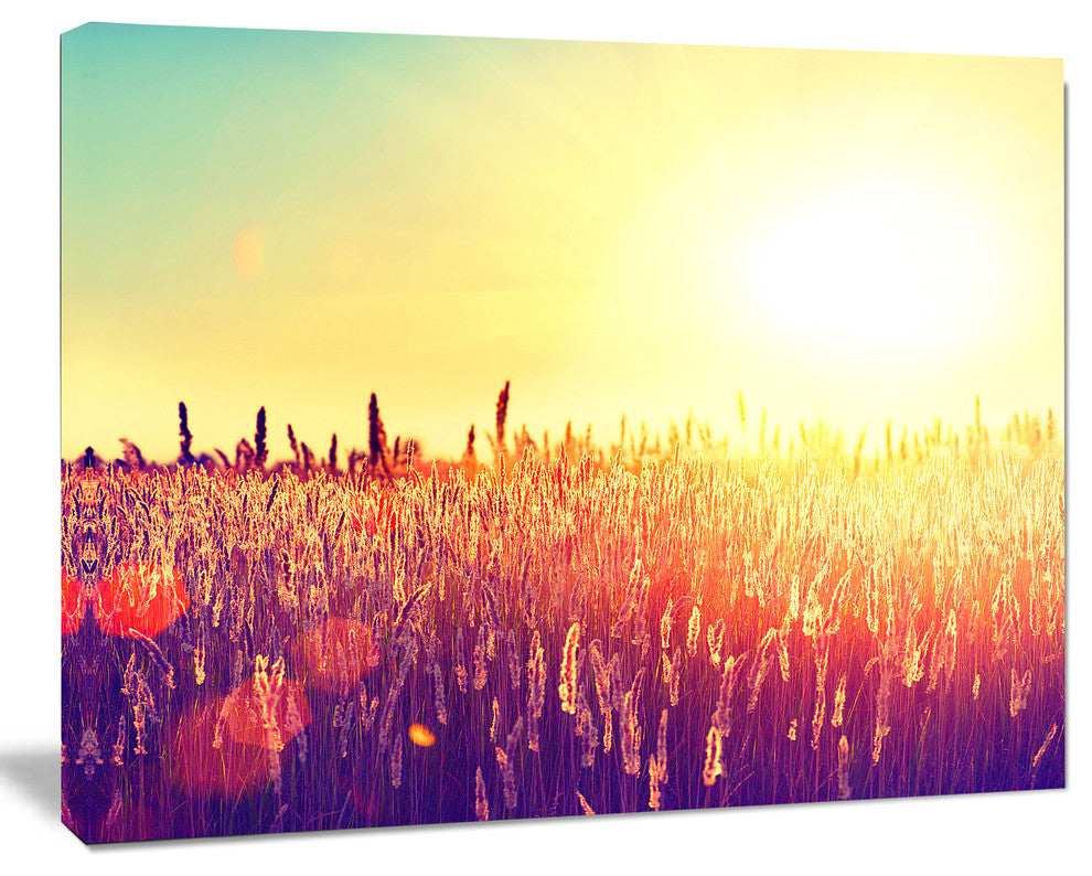 Rural Fields under Shining Sun, Large Landscape Canvas Art, 60"x28"