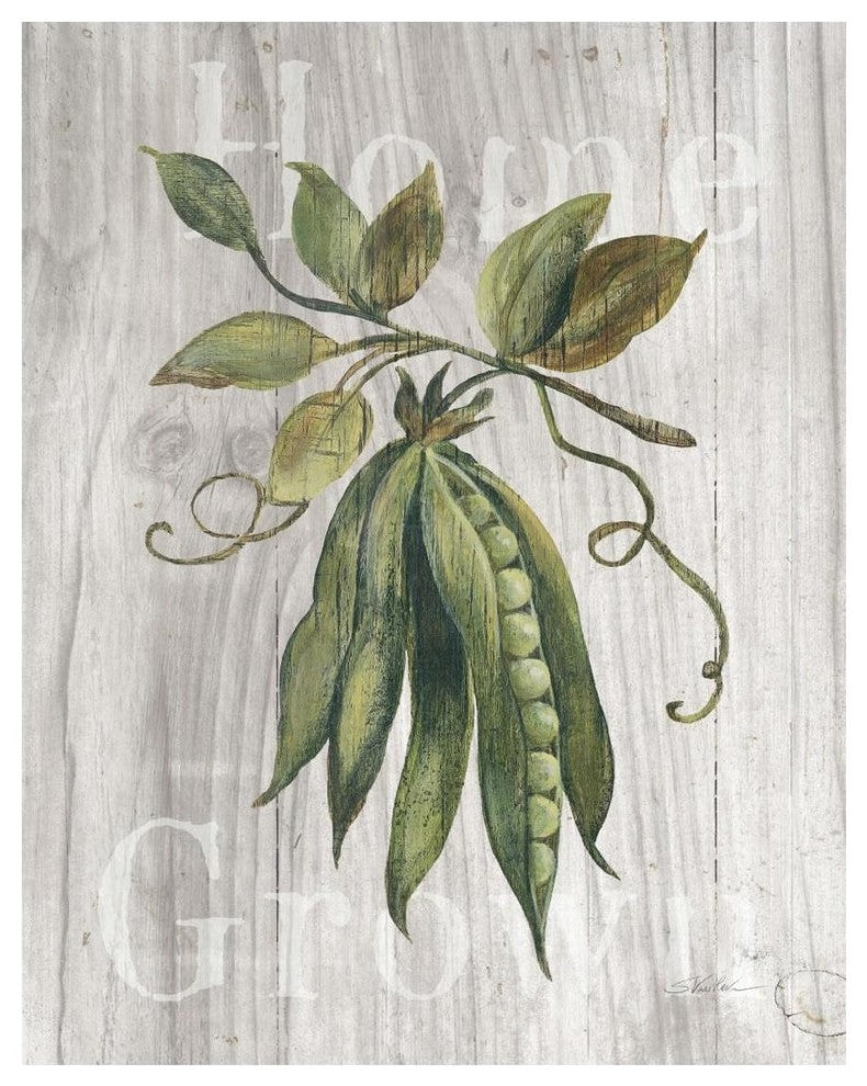 "Market Vegetables II on Wood" Digital Paper Print by Silvia Vassileva, 22"x26"