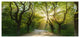Evening in Green Forest, Large landscape Canvas Art Print, 60"x28"