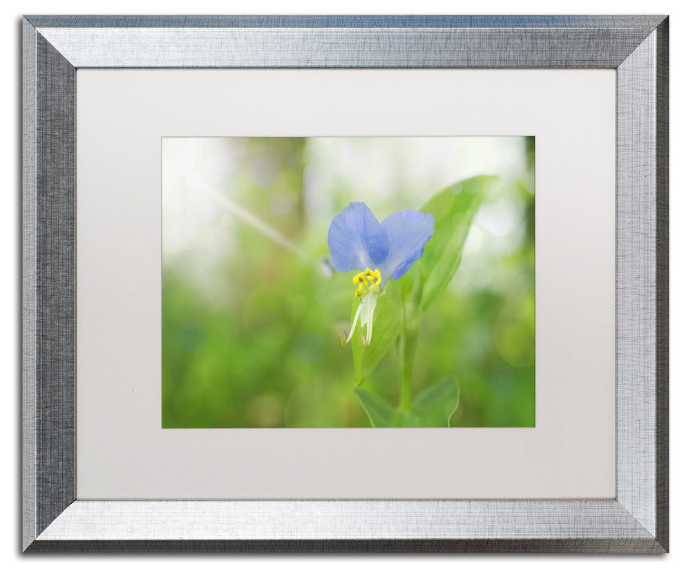 PIPA Fine Art 'Asiatic Dayflower' Matted Framed Art, 20x16