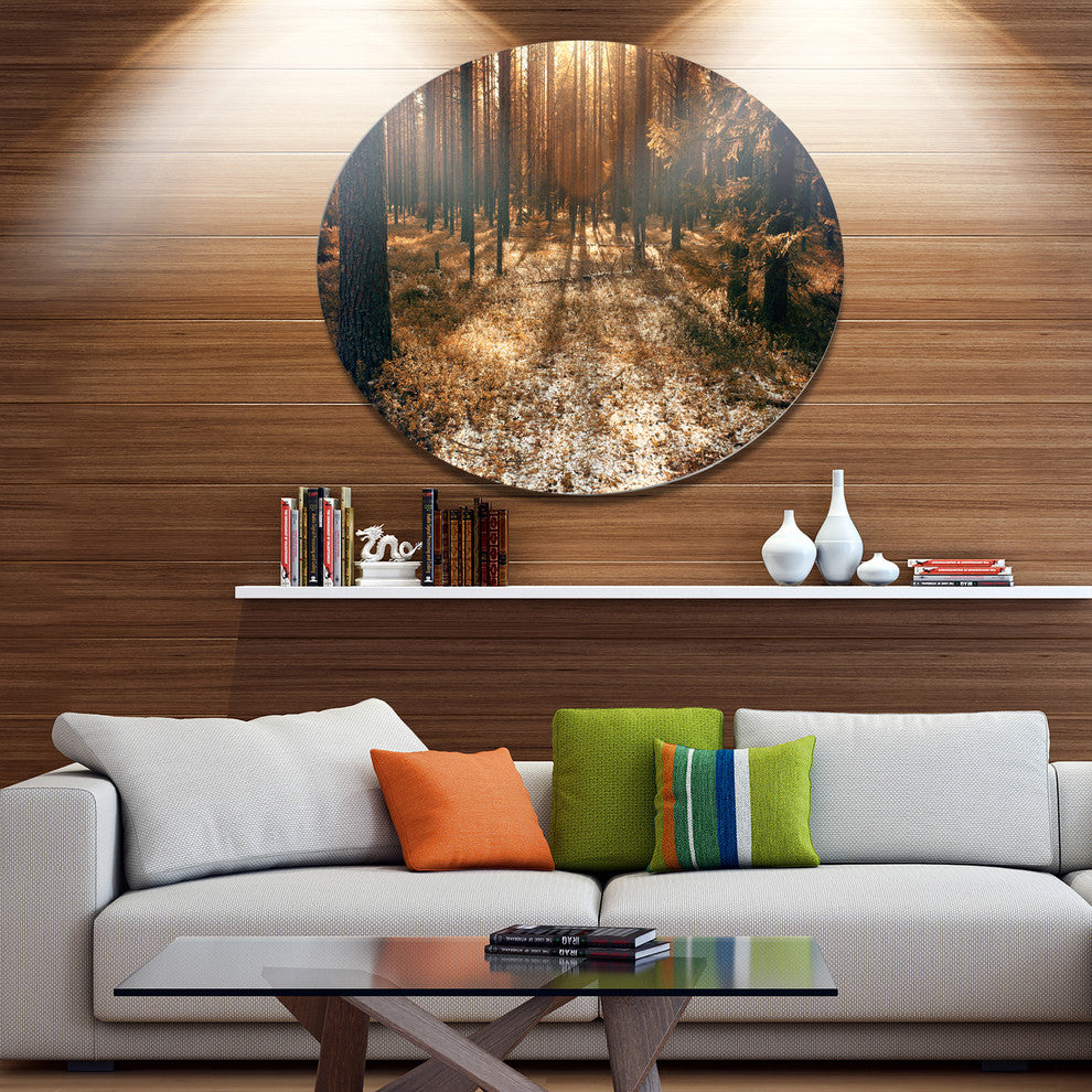 Road In Dark Wooded Forest, Modern Forest Round Metal Wall Art, 11"