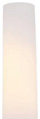 (1) Frosted Shade for SKU: RV-W131-1747-BN