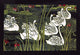 Journal de La Beaute / Swans - Gallery Wrapped Canvas Art 28" x 42"