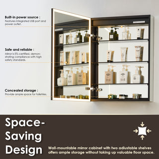Fenice Surface-Mount/Reccessed LED Lighted Bathroom Medicine Cabinet, 24"