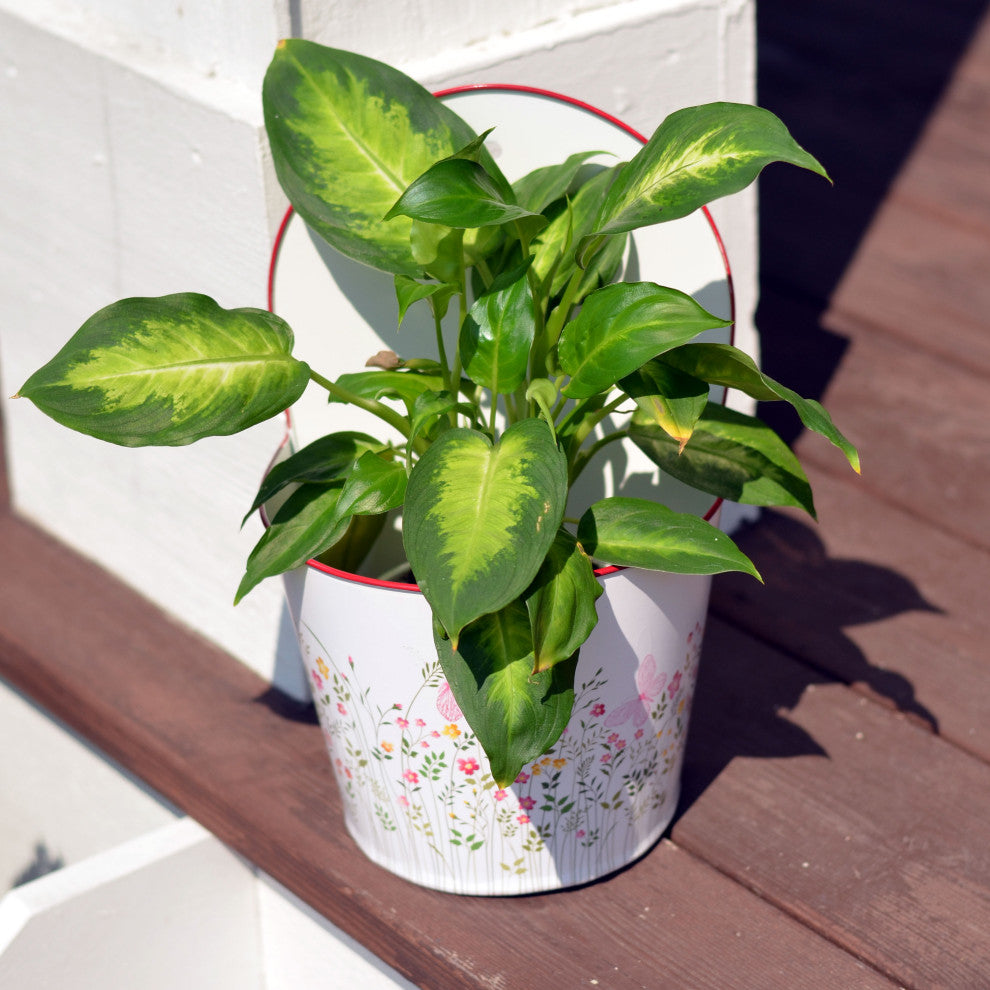 2 Piece Meadow Flowers Wall Planter Set