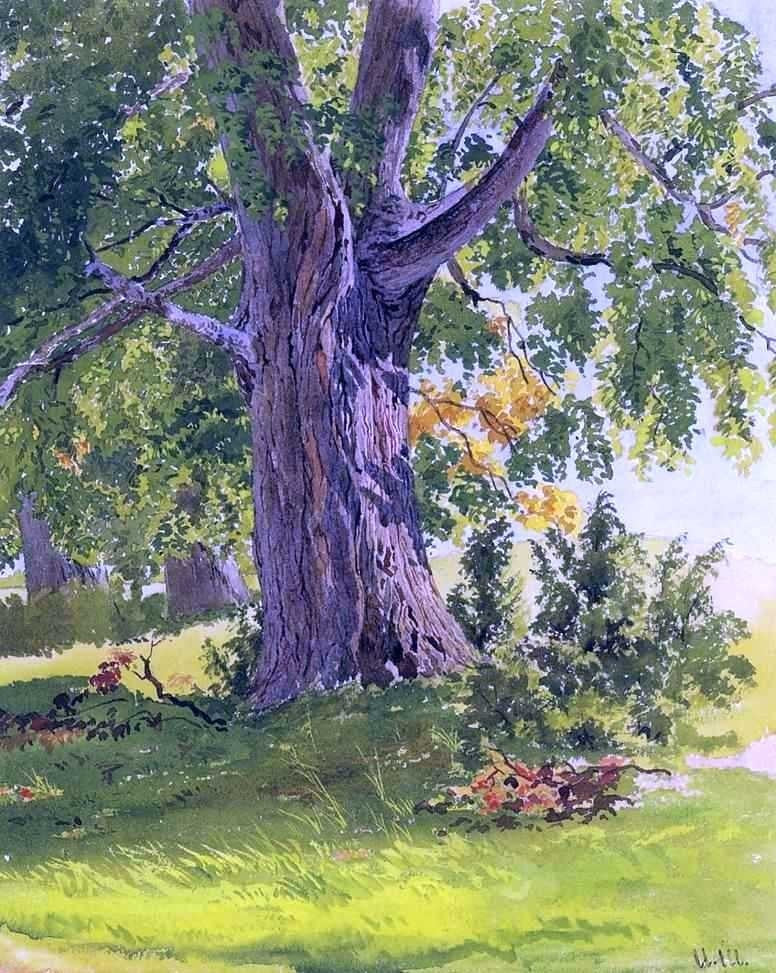 Ivan Ivanovich Shishkin Sunny Oak Wall Decal