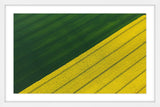 "Green and Yellow Crops" Framed Painting Print