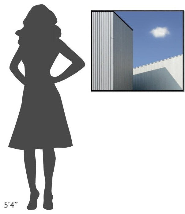 "Cloud" Framed Canvas Giclee by Henk Van Maastricht, 31x27"