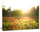Poppy Field under Bright Sunlight, Large Landscape Canvas Art Print, 40"x30"
