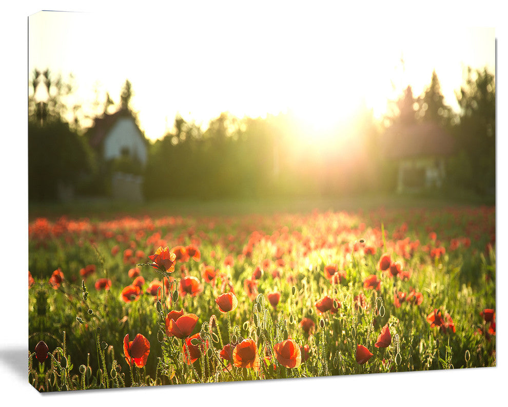 Poppy Field under Bright Sunlight, Large Landscape Canvas Art Print, 40"x30"