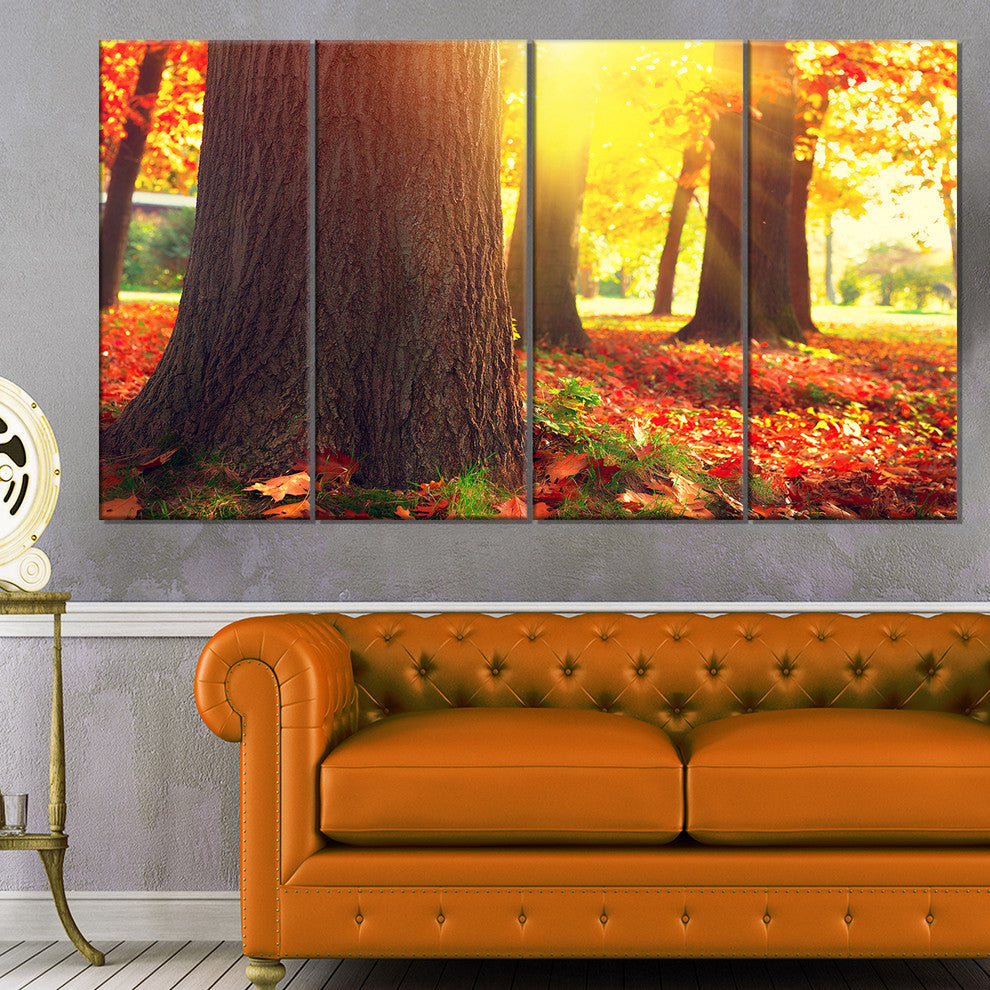 Autumn Trees in the Sunlight, Large Landscape Canvas Art, 48"x28", 4 Panels
