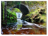 'Lush River' Canvas Art by Pierre Leclerc