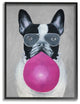 French Bulldog With Bubblegum And Glasses, Framed, 24"x30"