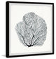 "Sea Fern" Framed Painting Print, 18"x18"