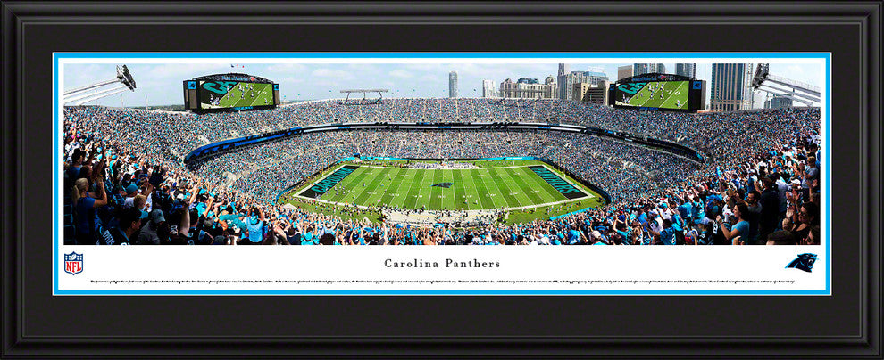 Carolina Panthers Football (Panther logo) - Deluxe Frame