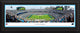 Carolina Panthers Football (Panther logo) - Deluxe Frame