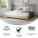 Jasmine Charcoal & Green Tea Cooling Gel Memory Foam 8" CertiPUR-US Mattress, White, King