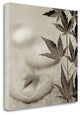 "Florison - 61" By Alan Blaustein, Giclee Print on Gallery Wrap Canvas
