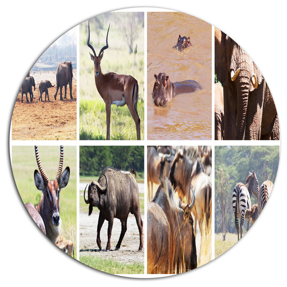 Rich African Wildlife Collage, Animal Round Metal Wall Art, 11"