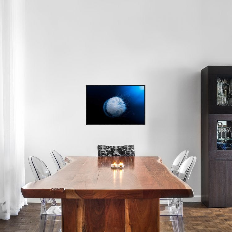 "Jellyfish" Framed Canvas Giclee by Barathieu Gabriel, 31x21"