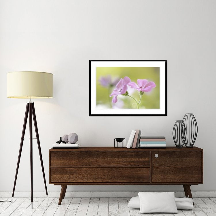 "Pink Melody" Framed Digital Print by Mandy Disher, 44x32"