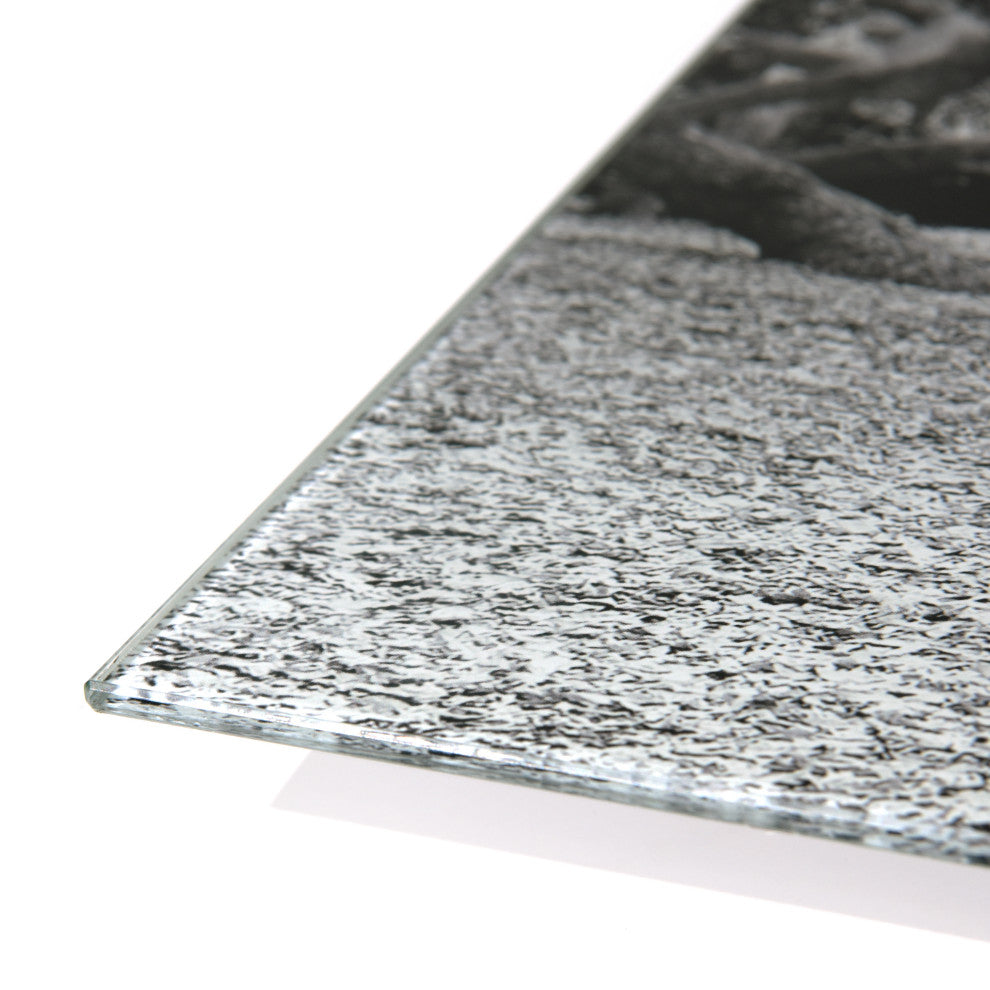 "The Angel Oak ABCD" Frameless Tempered Glass Panel Graphic Wall Art Set