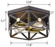 12 inch light ceiling light fixture 2 light black cage Close to Ceiling Light