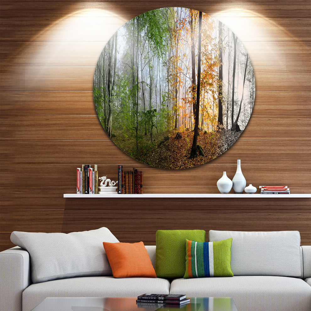 Morning Forest Panorama, Landscape Photo Round Metal Wall Art, 11"