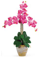 Triple Stem Phalaenopsis Silk Orchid Arrangement, Dark Pink