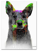 'Cattle Dog' Canvas Art by Marlene Watson