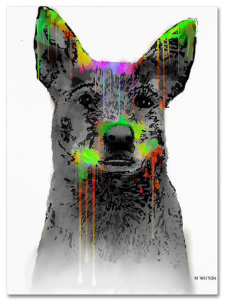 'Cattle Dog' Canvas Art by Marlene Watson