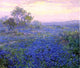 Julian Onderdonk A Cloudy Day Bluebonnets near San Antonio Texas Wall Decal