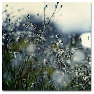 'In Silence' Canvas Art by Beata Czyzowska Young