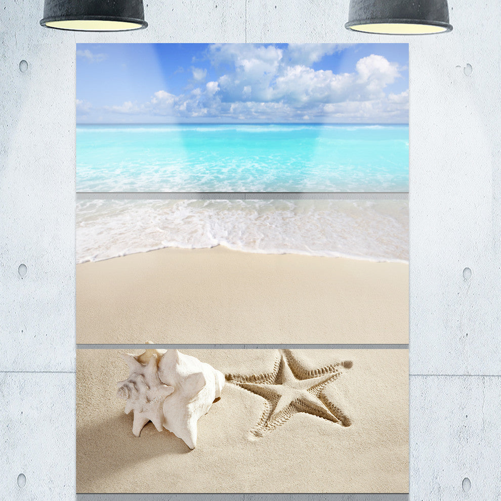 "Caribbean Beach Starfish" Beach Photography Metal Wall Art, 3 Panels, 28"x36"