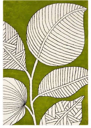 Int Transitional Area Rug, 5'x7'6"