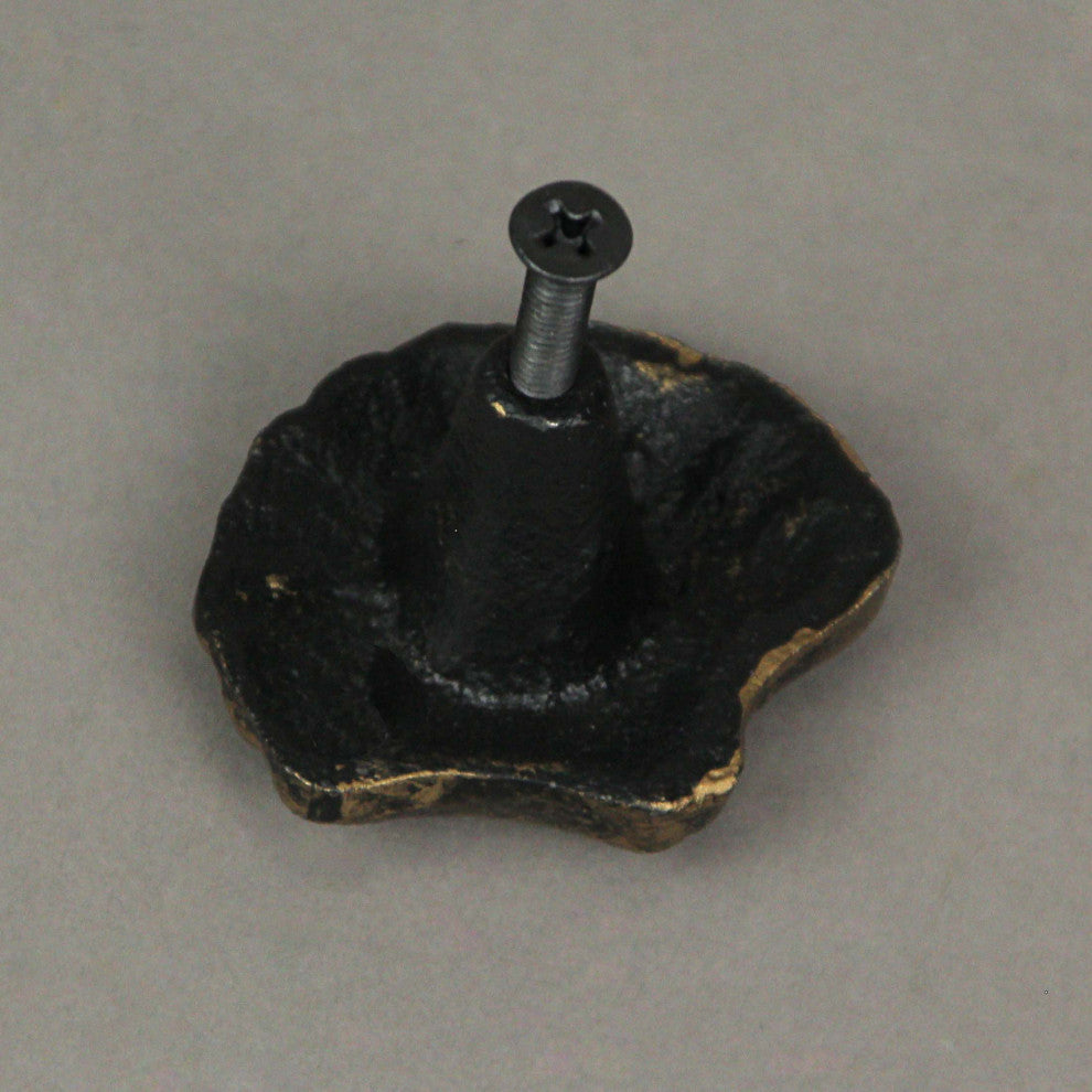 Set of 6 Gold Cast Iron Scallop Sea Shell Drawer Pulls Nautical Cabinet Knobs