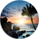 Lonely Palm Tree On Rocky Beach, Seashore Round Metal Wall Art, 23"