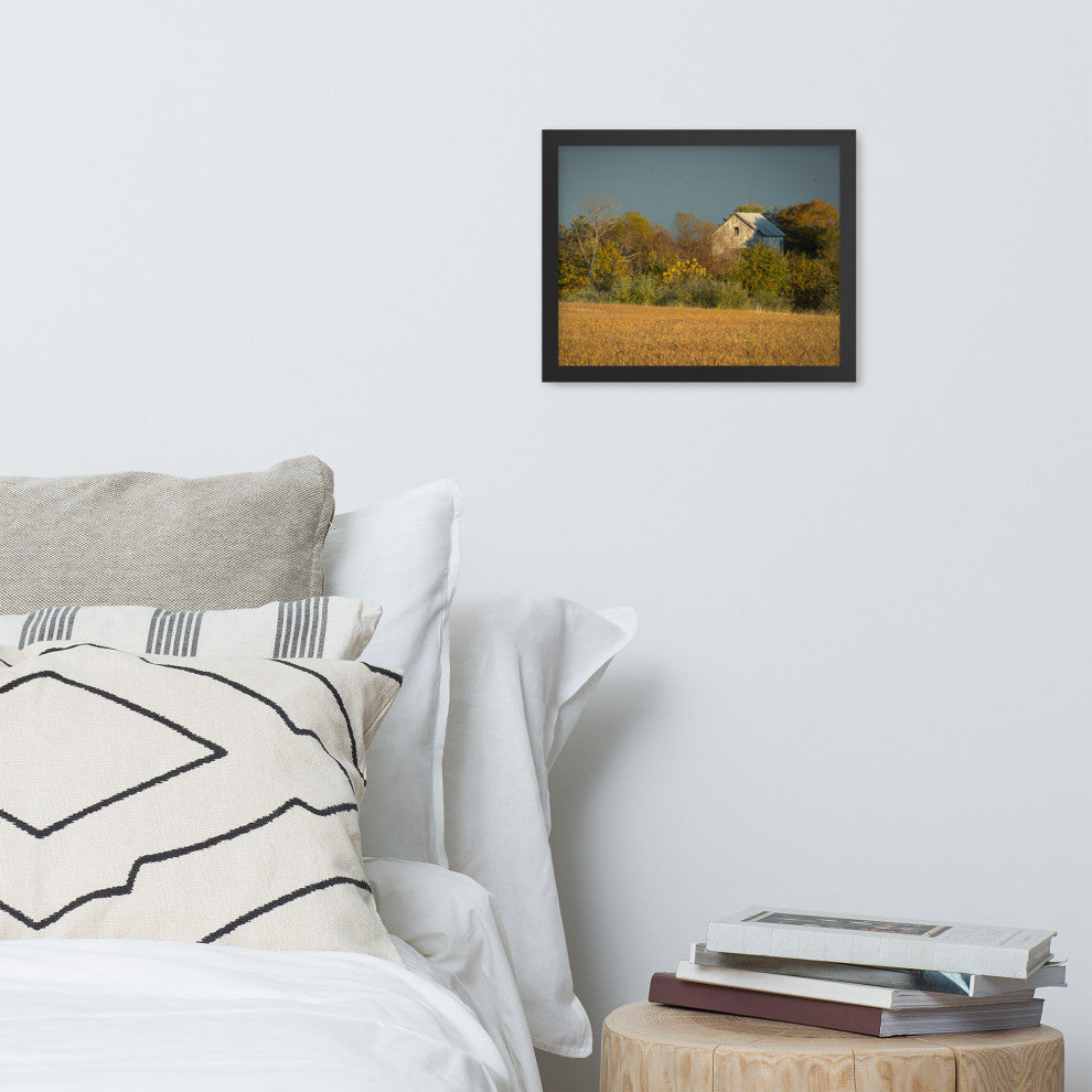 Abandoned Barn In The Trees Framed Photo Paper Wall Art Prints, Black, 11" X 14"