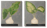 Large Palm Leaf Potted Plants Interior Still Life,24 x 30