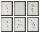 Uttermost Forest Finds Framed Prints, Set of 6
