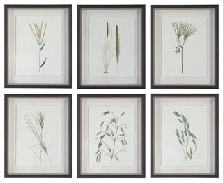 Uttermost Forest Finds Framed Prints, Set of 6
