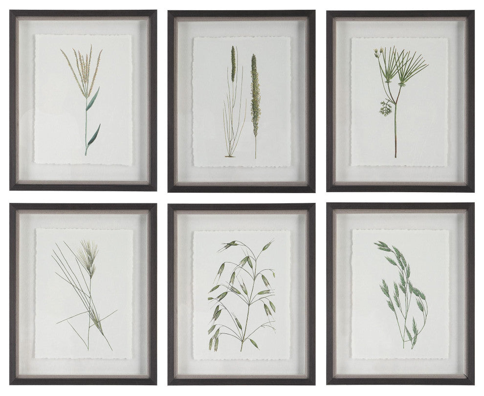 Uttermost Forest Finds Framed Prints, Set of 6