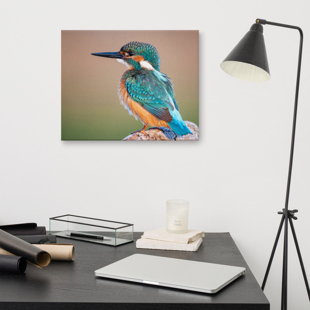 Common Kingfisher Bird on Perch Animal Wildlife Photograph Canvas Wall Art Print, 16" X 20"