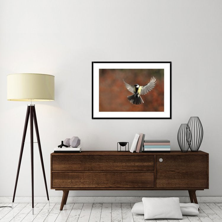 "Fly" Framed Digital Print by Barre Thierry, 44x32"