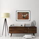 "Fly" Framed Digital Print by Barre Thierry, 44x32"