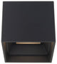 Downtown LED Outdoor Flush Mount, Black