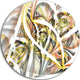 Symmetrical Spiral Fractal Flowers, Digital Art Disc Metal Artwork, 11"
