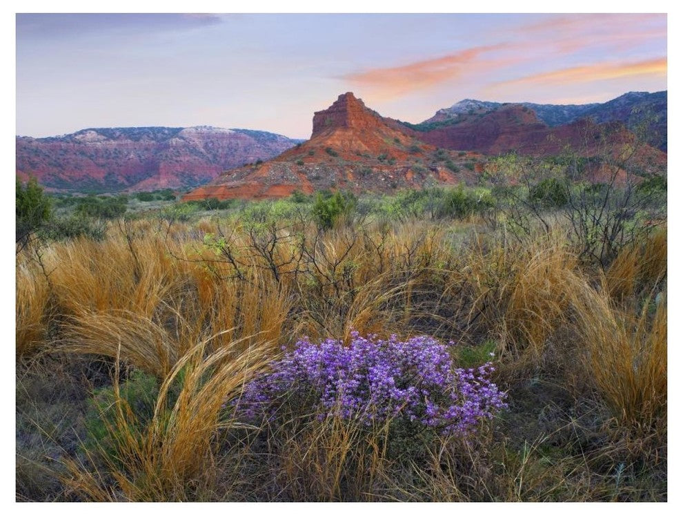 "Caprock Canyons State Park, Texas" Paper Print by Tim Fitzharris, 50"x38"
